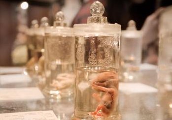 西安助孕行业领军企业大盘点：揭秘这三家顶级医疗机构排名一览