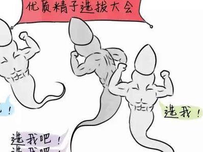 泰国三代试管婴儿医院成功率排行榜揭晓