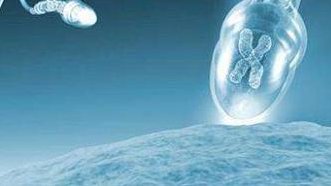 唐氏儿大排畸最明显的特征，怀过唐氏儿能做试管吗？