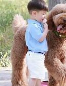 子宫偏小能做试管成功，子宫偏小可以做试管吗？