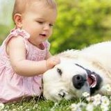 泰国三代试管婴儿总费用2026多少？