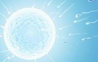 如何提高三代试管婴儿的成功率，提高试管婴儿成功的秘诀