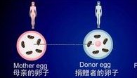 整理发布昆明11家最全助孕机构名单，附助孕生子医院选择方法