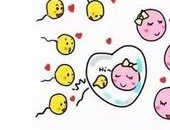 泰国曼谷医院试管婴儿价格知多少——2026最新收费表