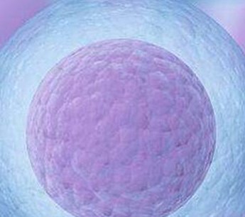 佛山2026三代试管费用明细介绍，影响试管助孕价格的因素分析